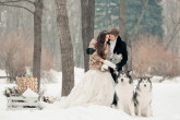 Зимняя свадьба — оформление
