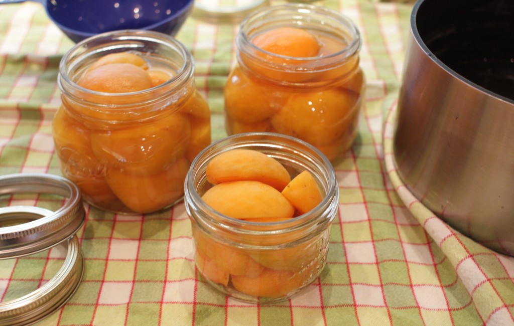Компот из абрикосов, рецепт — одна из обязательных зимних заготовок