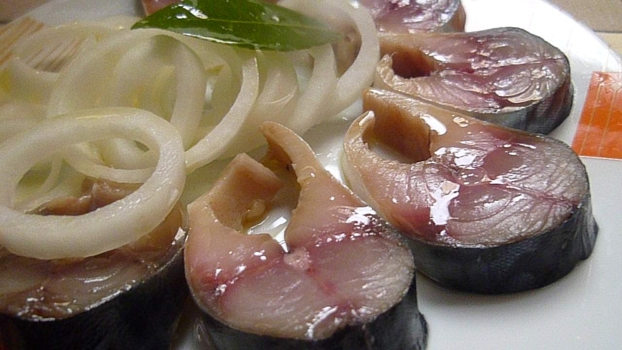 засоленная скумбрия